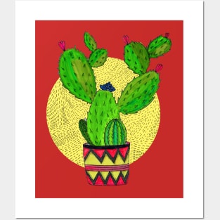 barbara the cactus Posters and Art